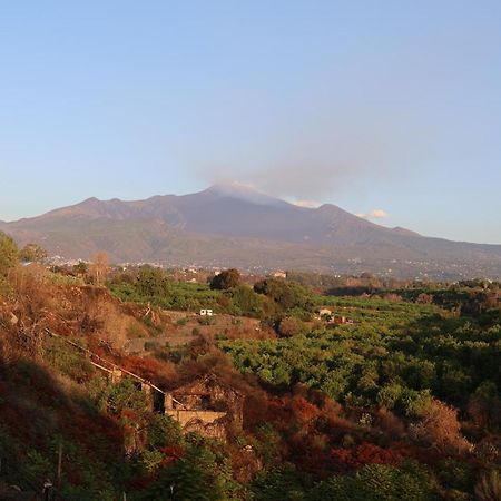Il Pampaleone Glamping And Resort Acireale Kültér fotó